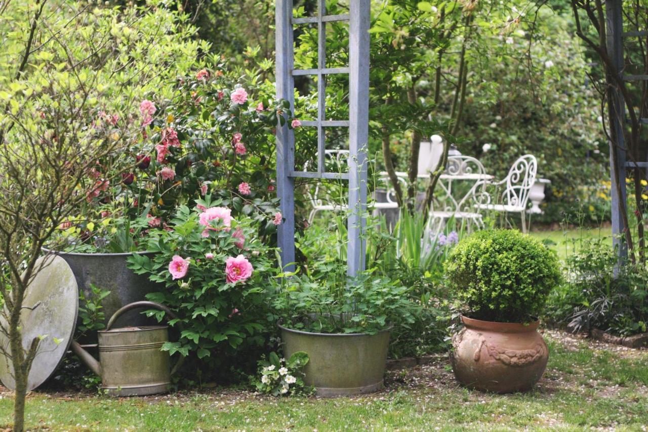 Bed and Breakfast Le Bonheur A La Campagne Lesmont Екстер'єр фото